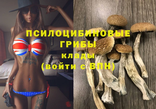 ECSTASY Армянск