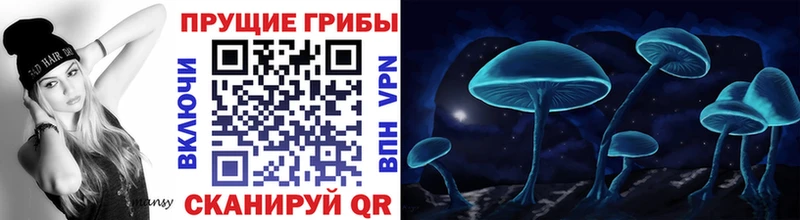 блэк спрут ссылка  Родники  Галлюциногенные грибы GOLDEN TEACHER 